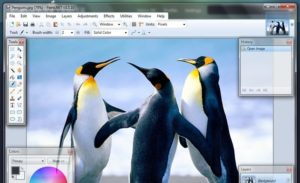 تحميل برنامج الرسام لتعديل الصور للكمبيوتر windows xp