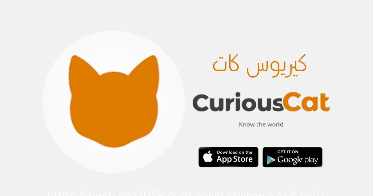 تنزيل تطبيق كيريوس كات Curious Cat للاندرويد والايفون اخر اصدار