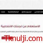 رابط موقع الهيئة الوطنية للانتخابات للاستعلام عن اللجنة الانتخابية في مصر 2024
